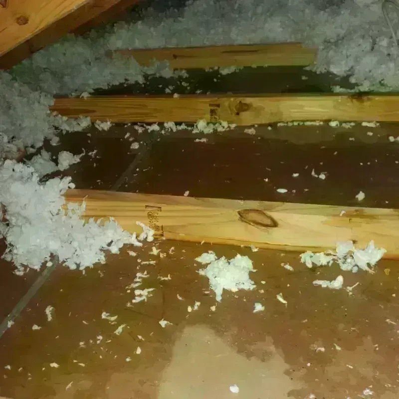 Attic Water Damage in Pottawattamie County, IA