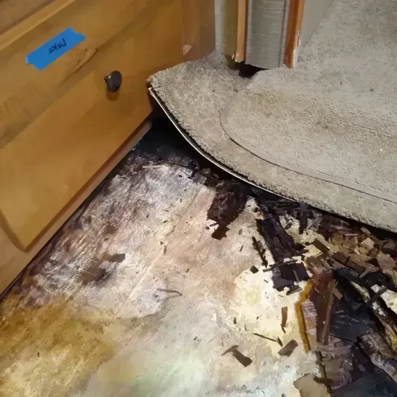 Wood Floor Water Damage in Pottawattamie County, IA